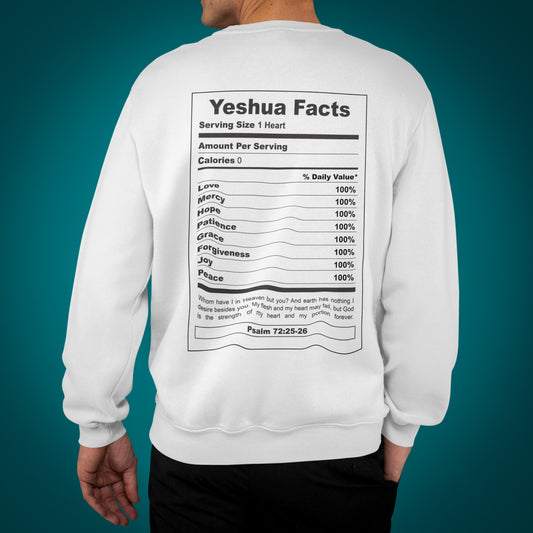 Yeshua Facts- Adult Sweatshirt